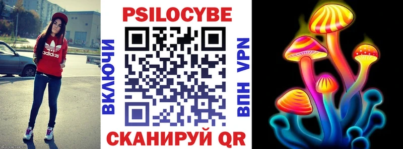 Псилоцибиновые грибы Magic Shrooms  shop клад  Гаджиево 